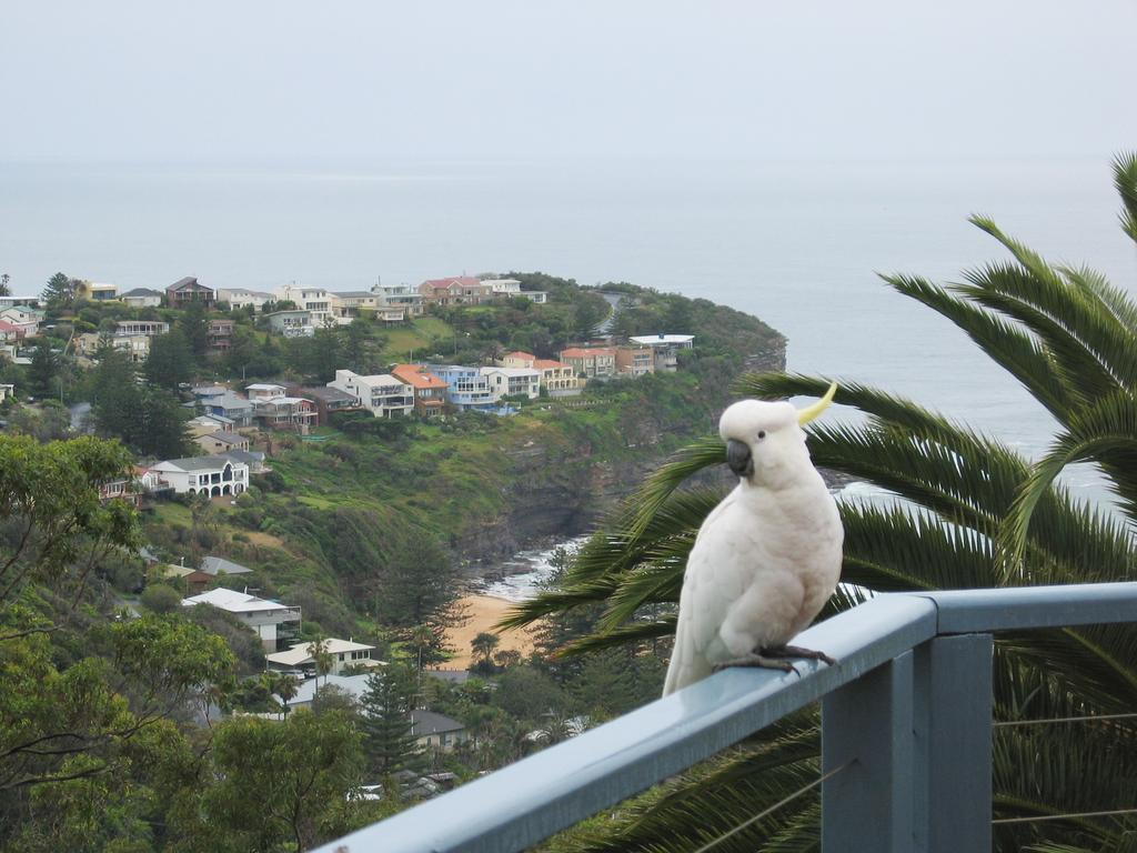 Avalon Horizons Apartment Bilgola Bagian luar foto