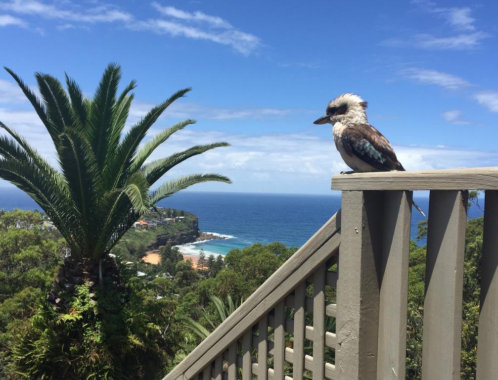 Avalon Horizons Apartment Bilgola Bagian luar foto